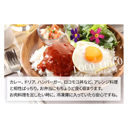 ふるさと納税 肉 ハンバーグ 宮城県 利府町 《定期便12ヶ月》昔懐かしいデミグラスソースハンバーグ (160g×8個)×12回 惣菜 おかず 肉 洋食 おテスト作業 飾り気の無い 湯煎…