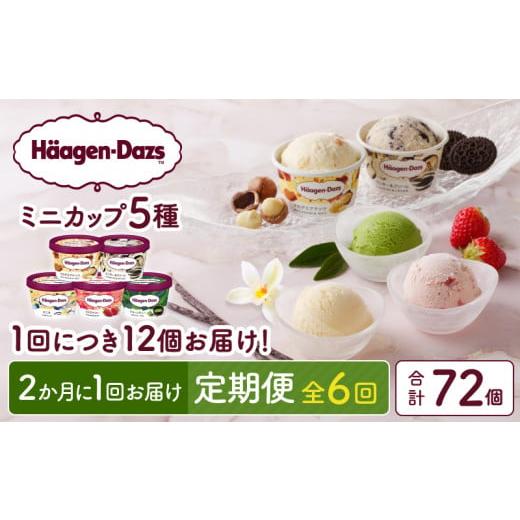 ふるさと納税 菓子 アイス 北海道 浜中町  全6回定期便・隔月 ハーゲンダッツ『定番ミニカップフレーバー5種セット(合計72個)』アイスクリーム アイス スイー…_1