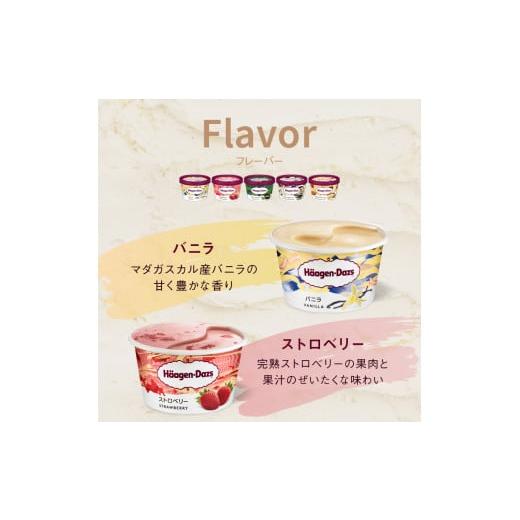 ふるさと納税 菓子 アイス 北海道 浜中町  全6回定期便・隔月 ハーゲンダッツ『定番ミニカップフレーバー5種セット(合計72個)』アイスクリーム アイス スイー…_2
