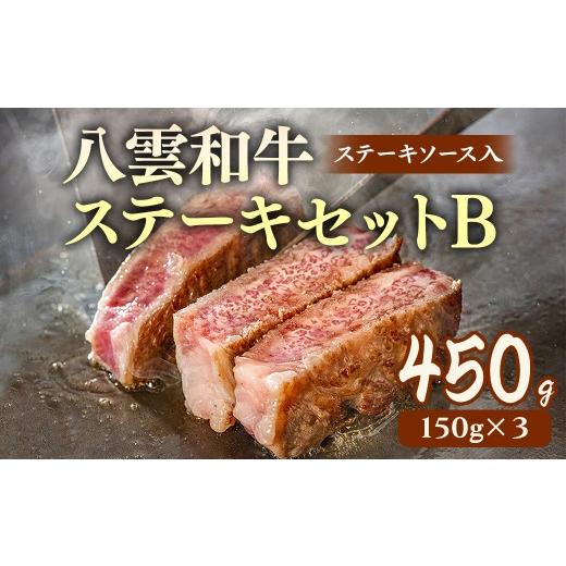 ふるさと納税 牛肉 ステーキ 北海道 八雲町 八雲和牛 ステーキセットB(ステーキソース入) 沖縄・離島への配送不可