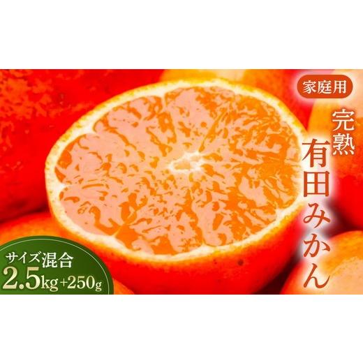 ふるさと納税 果物類 みかん 和歌山県 美浜町 家庭用 完熟 有田みかん2.5kg+250g(傷み補償分)サイズ混合