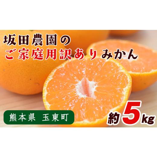 ふるさと納税 果物類 みかん 熊本県 玉東町 みかん 先行予約 旬 日付指定不可 ご家庭用 訳あり 『坂田農園』 ご家庭 用 みかん 約 5kg (2S-2Lサイズ) 熊本 予…
