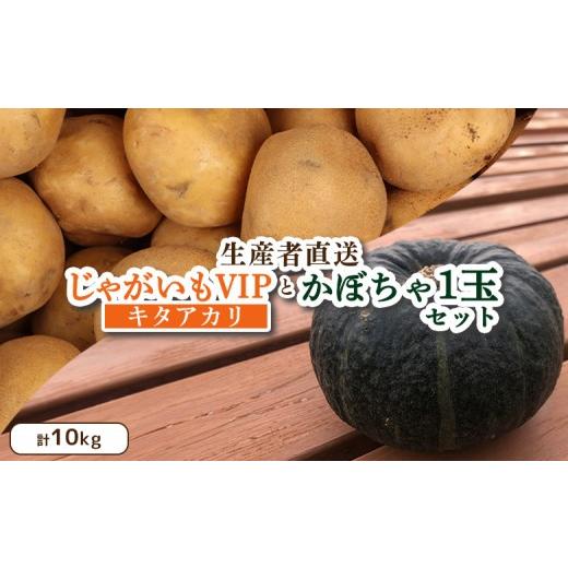 ふるさと納税 セット・詰合せ 北海道 留寿都村 9月〜11月発送予定 (生産者直送)じゃがいも VIP キタアカリ かぼちゃ 1玉 セット 計10kg いも 芋 イモ ジ…