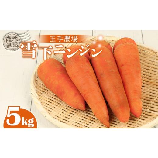 ふるさと納税 野菜類 人参 北海道 留寿都村 3月〜4月発送予定 玉手農場 雪下にんじん 5kg 人参 にんじん ニンジン 越冬 オンライン 申請 ふるさと納税 北海道…
