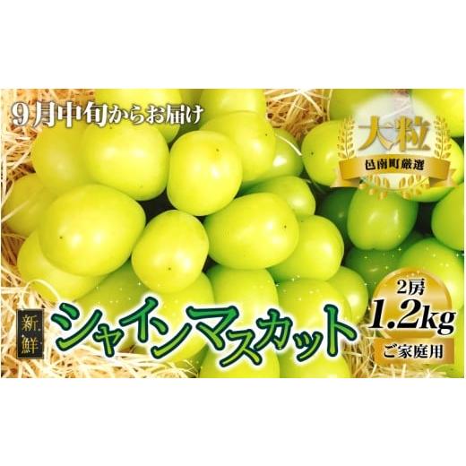 ふるさと納税 ぶどう マスカット 島根県 邑南町 先行予約 新鮮フルーツ シャインマスカット 1.2kg 果物 くだもの ご家庭用 9月中旬よりお届け
