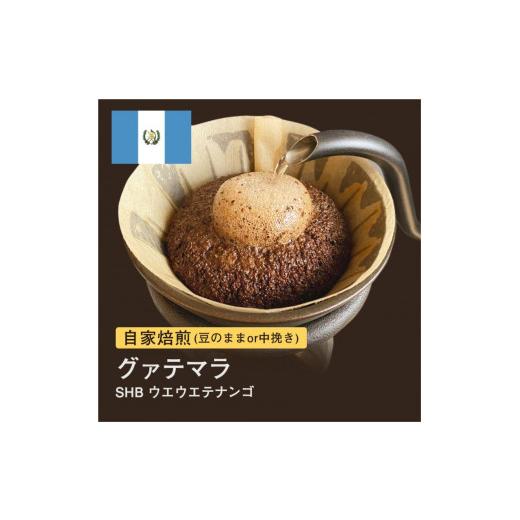 ふるさと納税 コーヒー コーヒー豆 大阪府 堺市 豆 #004 グァテマラ SHB ウエウエテナンゴ コーヒー豆 310g 自家焙煎 大山珈琲 豆のまま