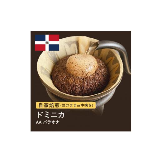 ふるさと納税 コーヒー コーヒー豆 大阪府 堺市 豆 #010 ドミニカ AA バラオナ コーヒー豆 310g 自家焙煎 大山珈琲 豆のまま
