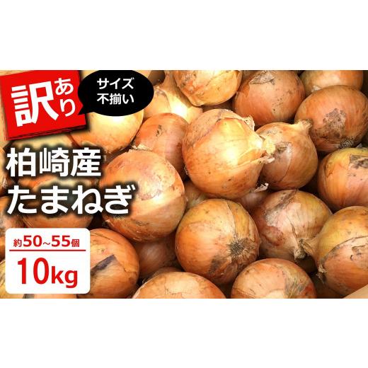 ふるさと納税 野菜類 玉ねぎ 新潟県 柏崎市  先行予約・6月発送予定 たまねぎ サイズ不揃い 10kg（約50〜55個入） 数量・期間限定 新潟県産 訳あり 玉ねぎ Y00…の画像