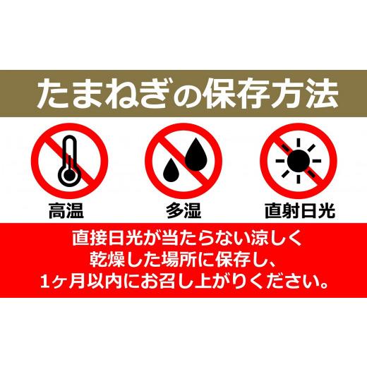 ふるさと納税 野菜類 玉ねぎ 新潟県 柏崎市  先行予約・6月発送予定 たまねぎ サイズ不揃い 10kg（約50〜55個入） 数量・期間限定 新潟県産 訳あり 玉ねぎ Y00…の画像