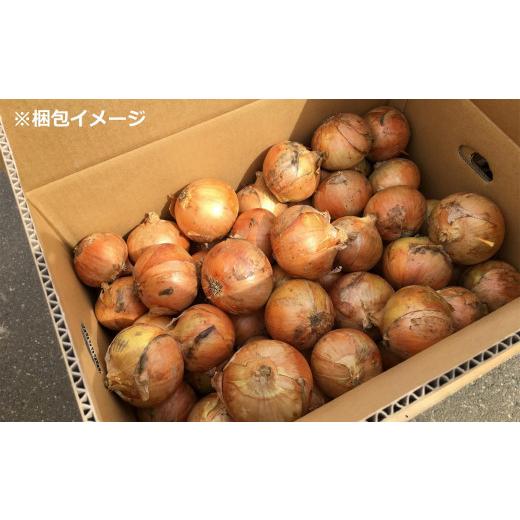 ふるさと納税 野菜類 玉ねぎ 新潟県 柏崎市  先行予約・6月発送予定 たまねぎ サイズ不揃い 10kg（約50〜55個入） 数量・期間限定 新潟県産 訳あり 玉ねぎ Y00…の画像