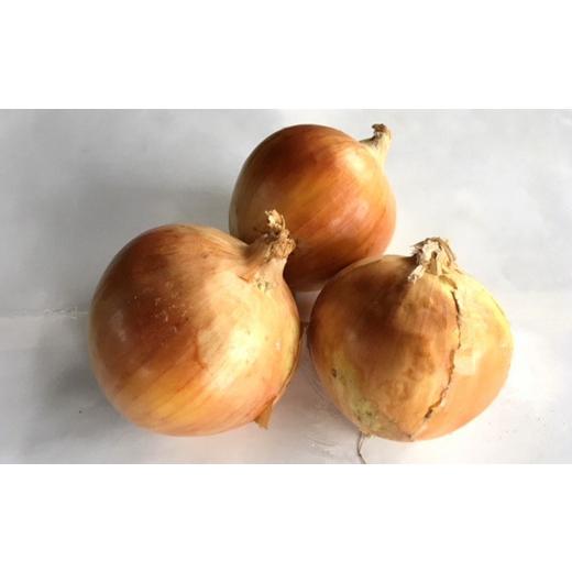 ふるさと納税 野菜類 玉ねぎ 新潟県 柏崎市  先行予約・6月発送予定 たまねぎ サイズ不揃い 10kg（約50〜55個入） 数量・期間限定 新潟県産 訳あり 玉ねぎ Y00…の画像