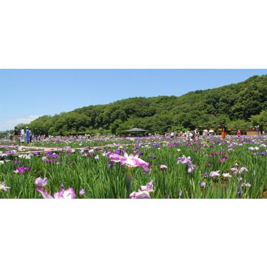 ふるさと納税 雑貨・日用品 東京都 東村山市  本革 ほぼ日手帳カバー(A6／オリジナル対応)／グリージオ(灰) 1500235の画像