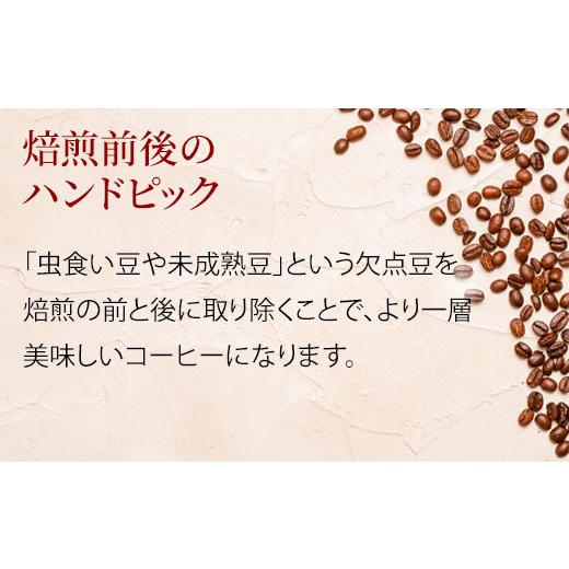 ふるさと納税 コーヒー コーヒー豆 岐阜県 大垣市 焙煎当日に発送 デカフェ12ヶ月定期便 200g×2種類『焙煎幸房“そら”』 豆 高級 希少 自家焙煎 挽き立て …の画像