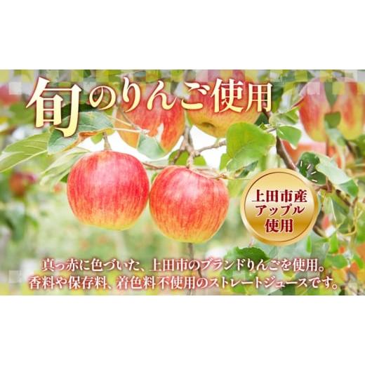 ふるさと納税 フルーツジュース飲み料 長野県 上田市 長野県 真田 RED アップル 清涼飲料水 瓶 1000ml 12本 飲み料 フルーツジュース 100% フルーツ りんごの木 果物 林檎 リンゴの木 無芳ばしさ 無染めつける …