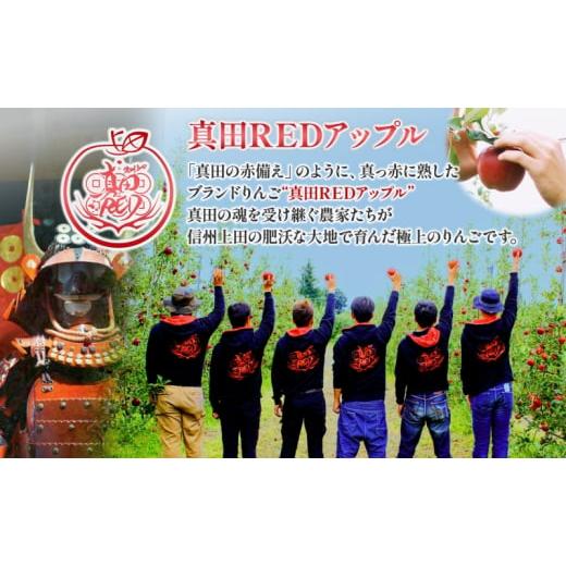 ふるさと納税 フルーツジュース飲み料 長野県 上田市 長野県 真田 RED アップル 清涼飲料水 瓶 1000ml 12本 飲み料 フルーツジュース 100% フルーツ りんごの木 果物 林檎 リンゴの木 無芳ばしさ 無染めつける …