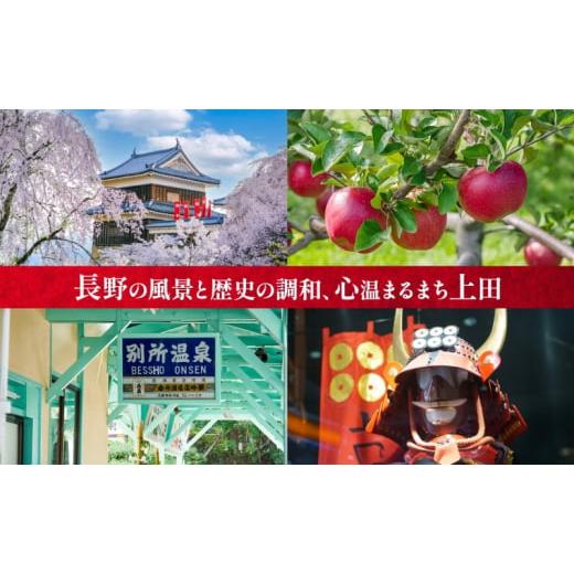 ふるさと納税 フルーツジュース飲み料 長野県 上田市 長野県 真田 RED アップル 清涼飲料水 瓶 1000ml 12本 飲み料 フルーツジュース 100% フルーツ りんごの木 果物 林檎 リンゴの木 無芳ばしさ 無染めつける …
