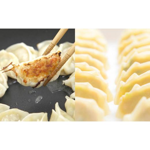 ふるさと納税 惣菜・レトルト 冷凍 静岡県 浜松市  定期便6回 浜松餃子 126個（21個×6箱）・肉巻き餃子 20個（10個×2箱） 配送不可：離島 餃子 食べ比べ ぎ…_3