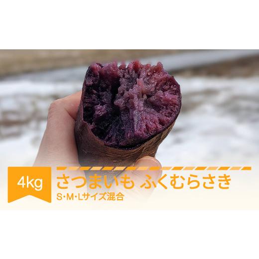 ふるさと納税 野菜類 サツマイモ 山形県 村山市  先行予約 さつまいも ふくむらさき 約4kg 村山市産 2026年産 令和8年産 山形県産 no-spfmx4 沖縄・離島への配…の画像