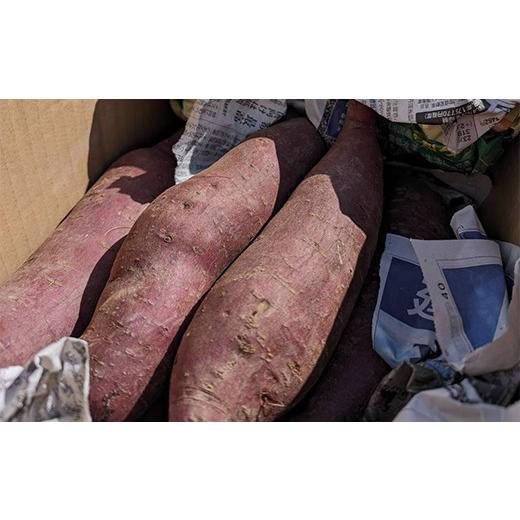 ふるさと納税 野菜類 サツマイモ 山形県 村山市  先行予約 さつまいも ふくむらさき 約4kg 村山市産 2026年産 令和8年産 山形県産 no-spfmx4 沖縄・離島への配…の画像