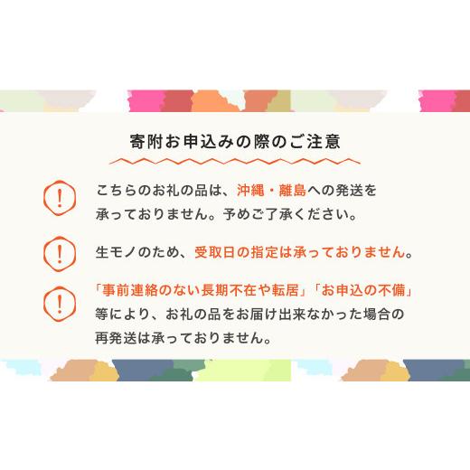 ふるさと納税 野菜類 サツマイモ 山形県 村山市  先行予約 さつまいも ふくむらさき 約4kg 村山市産 2026年産 令和8年産 山形県産 no-spfmx4 沖縄・離島への配…の画像