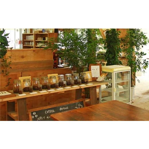 ふるさと納税 珈琲 珈琲豆 福岡県 糸島市  挽いた粉 全6回 定期便 COFFEE GIFT 所有権者 より分ける の おすすめ 差し上げ物缶 ＋ 3種 から選べる ドリップパッ…