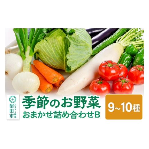 ふるさと納税 セット・詰合せ 群馬県 沼田市 季節のお野菜 おまかせセット B（9〜10種類）詰め合わせ 野菜セット お任せ おまかせ 野菜 やさい ヤサイ 詰め合…の画像