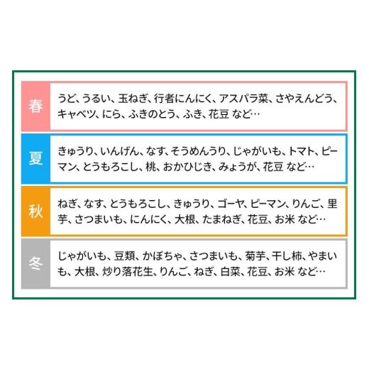 ふるさと納税 セット・詰合せ 群馬県 沼田市 季節のお野菜 おまかせセット B（9〜10種類）詰め合わせ 野菜セット お任せ おまかせ 野菜 やさい ヤサイ 詰め合…の画像