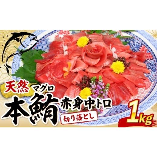 ふるさと納税 魚貝類 高知県 室戸市 天然本まぐろ 赤身 中とろ 切り落とし 1kg 小分け (100g×10パック) 訳あり マグロ 刺身 カルパッチョ まぐろ丼 まぐろ漬…