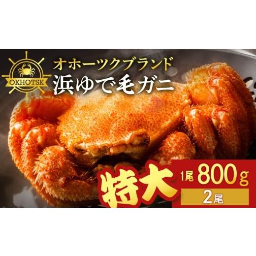 ふるさと納税 カニ 毛ガニ 北海道 浜頓別町  北海道産 毛ガニ 約800g×2尾 セット かに 蟹 毛蟹 冷凍 北海道産 浜頓別町_1