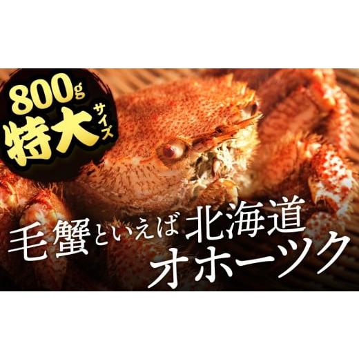ふるさと納税 カニ 毛ガニ 北海道 浜頓別町  北海道産 毛ガニ 約800g×2尾 セット かに 蟹 毛蟹 冷凍 北海道産 浜頓別町_2