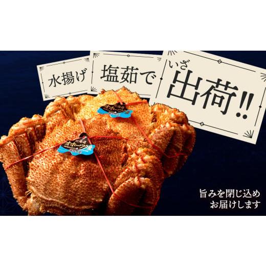 ふるさと納税 カニ 毛ガニ 北海道 浜頓別町  北海道産 毛ガニ 約800g×2尾 セット かに 蟹 毛蟹 冷凍 北海道産 浜頓別町_4