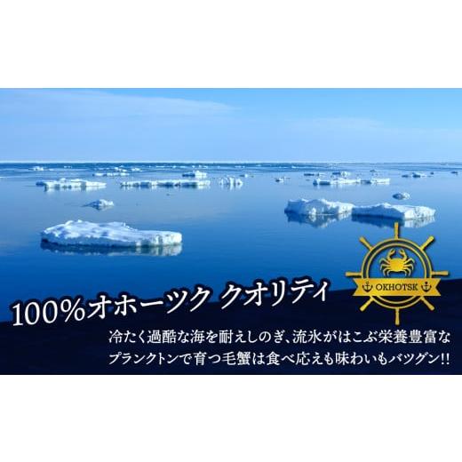 ふるさと納税 カニ 毛ガニ 北海道 浜頓別町  北海道産 毛ガニ 約800g×2尾 セット かに 蟹 毛蟹 冷凍 北海道産 浜頓別町_5