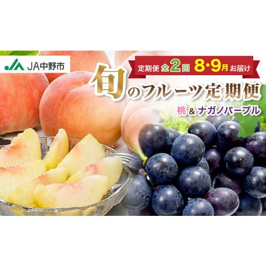 ふるさと納税 もも 長野県 中野市 発送月固定定期便 JA中野市 糖度13度保証の桃2.1kg以上とナガノパープル800g以上全2回 4051564