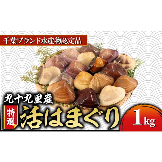 ふるさと納税 しじみ・あさり・蛤 蛤(はまぐり) 千葉県 旭市 九十九里産 活け はまぐり約 約1kg/10〜16個 千葉ブランド水産物認定品 天然 蛤 ハマグリ 活 …