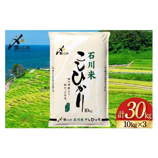 ふるさと納税 米 コシヒカリ 石川県 宝達志水町 期間限定発送 米 令和7年 石川県産 石川米こしひかり 穂立 30kg(10kg ×3袋) 中橋商事 饗のこめ (あえのこ…