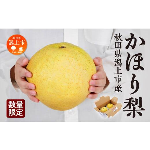ふるさと納税 梨 秋田県 潟上市 10月中旬以降随時発送 令和7年産 かほり梨 和梨 かほり 旬 甘い 大玉 800g くだもの 果物 フルーツ なし ナシ 冷蔵 グルメ 人…