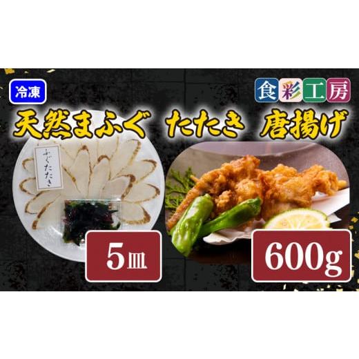 ふるさと納税 フグ 山口県 下関市 下関発 天然ふぐたたき刺身5人前・ふぐ唐揚600g 〜しものせき食彩工房〜 ( ふぐ フグ まふぐ マフグ たたき タタキ 唐揚げ …