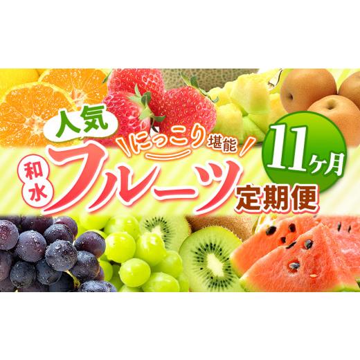 ふるさと納税 果物の詰合せ 熊本県 和水町  定期便 11回 ニッコリ 堪能 人気 フルーツ ご家庭用 熊本県なごみ町 | 熊本県 熊本 くまもと 和水町 なごみ フルー…_1