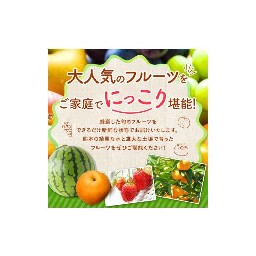 ふるさと納税 果物の詰合せ 熊本県 和水町  定期便 11回 ニッコリ 堪能 人気 フルーツ ご家庭用 熊本県なごみ町 | 熊本県 熊本 くまもと 和水町 なごみ フルー…_2