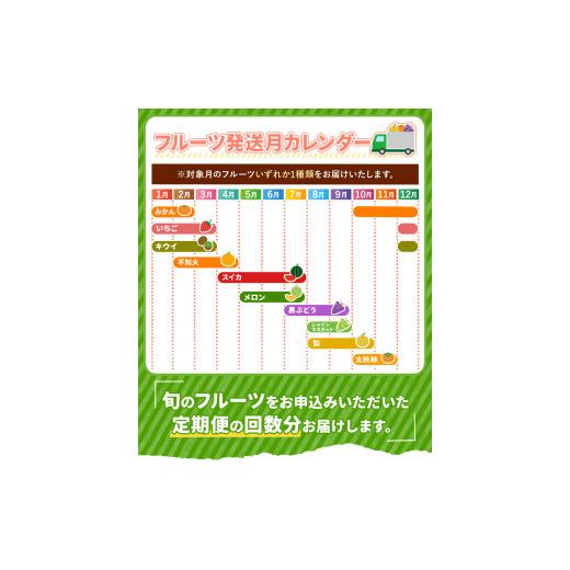 ふるさと納税 果物の詰合せ 熊本県 和水町  定期便 11回 ニッコリ 堪能 人気 フルーツ ご家庭用 熊本県なごみ町 | 熊本県 熊本 くまもと 和水町 なごみ フルー…_3