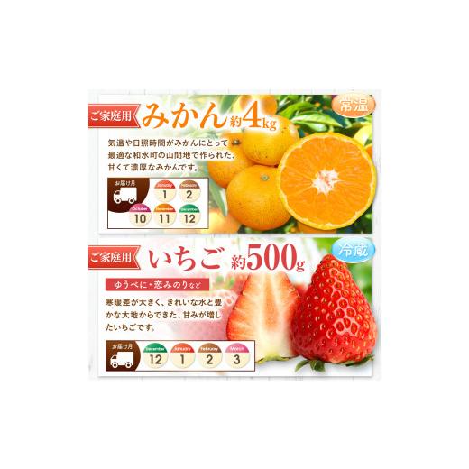 ふるさと納税 果物の詰合せ 熊本県 和水町  定期便 11回 ニッコリ 堪能 人気 フルーツ ご家庭用 熊本県なごみ町 | 熊本県 熊本 くまもと 和水町 なごみ フルー…_4