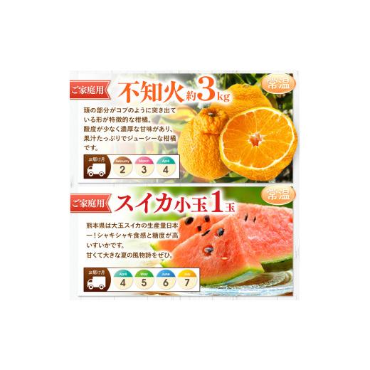 ふるさと納税 果物の詰合せ 熊本県 和水町  定期便 11回 ニッコリ 堪能 人気 フルーツ ご家庭用 熊本県なごみ町 | 熊本県 熊本 くまもと 和水町 なごみ フルー…_5