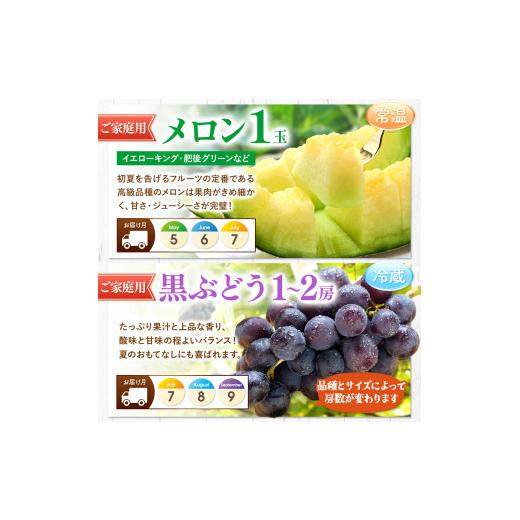 ふるさと納税 果物の詰合せ 熊本県 和水町  定期便 11回 ニッコリ 堪能 人気 フルーツ ご家庭用 熊本県なごみ町 | 熊本県 熊本 くまもと 和水町 なごみ フルー…_6