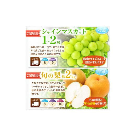 ふるさと納税 果物の詰合せ 熊本県 和水町  定期便 11回 ニッコリ 堪能 人気 フルーツ ご家庭用 熊本県なごみ町 | 熊本県 熊本 くまもと 和水町 なごみ フルー…_7