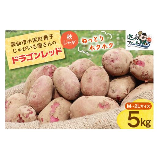 長崎県産ドラゴンレッドじゃがいも1.3㎏の通販 by ゆきんこ's shop