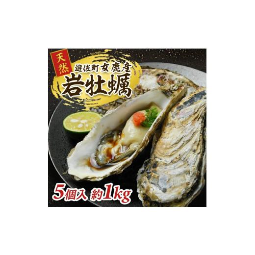ふるさと納税 牡蠣 生牡蠣 山形県 遊佐町 山形県遊佐町女鹿産 天然岩牡蠣 5個入 約1kg 殻付き 6月上旬〜8月下旬頃お届け 冷蔵便 着日指定・離島（沖縄県を含む…_1