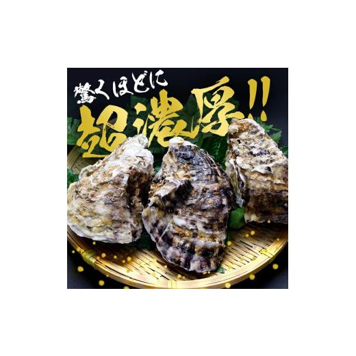 ふるさと納税 牡蠣 生牡蠣 山形県 遊佐町 山形県遊佐町女鹿産 天然岩牡蠣 5個入 約1kg 殻付き 6月上旬〜8月下旬頃お届け 冷蔵便 着日指定・離島（沖縄県を含む…_2