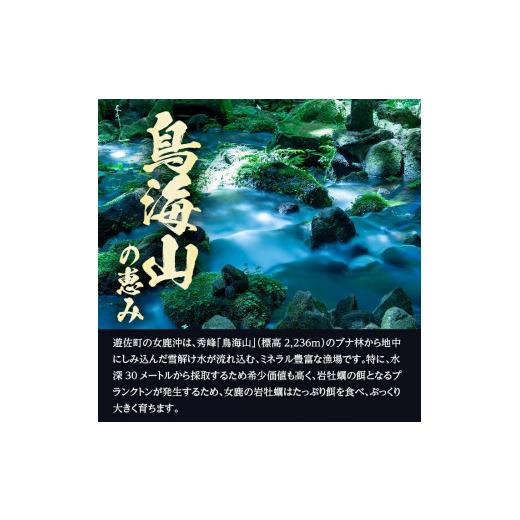 ふるさと納税 牡蠣 生牡蠣 山形県 遊佐町 山形県遊佐町女鹿産 天然岩牡蠣 5個入 約1kg 殻付き 6月上旬〜8月下旬頃お届け 冷蔵便 着日指定・離島（沖縄県を含む…_3
