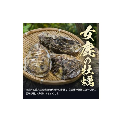 ふるさと納税 牡蠣 生牡蠣 山形県 遊佐町 山形県遊佐町女鹿産 天然岩牡蠣 5個入 約1kg 殻付き 6月上旬〜8月下旬頃お届け 冷蔵便 着日指定・離島（沖縄県を含む…_4