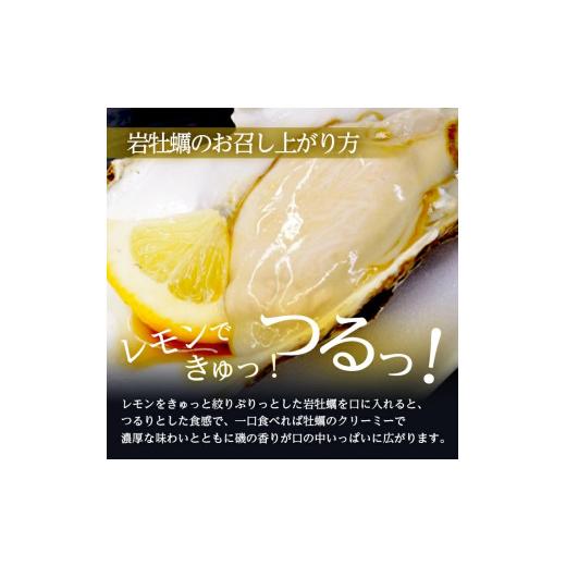 ふるさと納税 牡蠣 生牡蠣 山形県 遊佐町 山形県遊佐町女鹿産 天然岩牡蠣 5個入 約1kg 殻付き 6月上旬〜8月下旬頃お届け 冷蔵便 着日指定・離島（沖縄県を含む…_5
